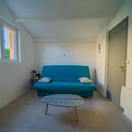 Maison Au Bord Du Bassin De Thau Marseillan (Herault)